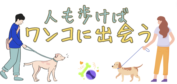 カワイイがいっぱい！ワンダーランド